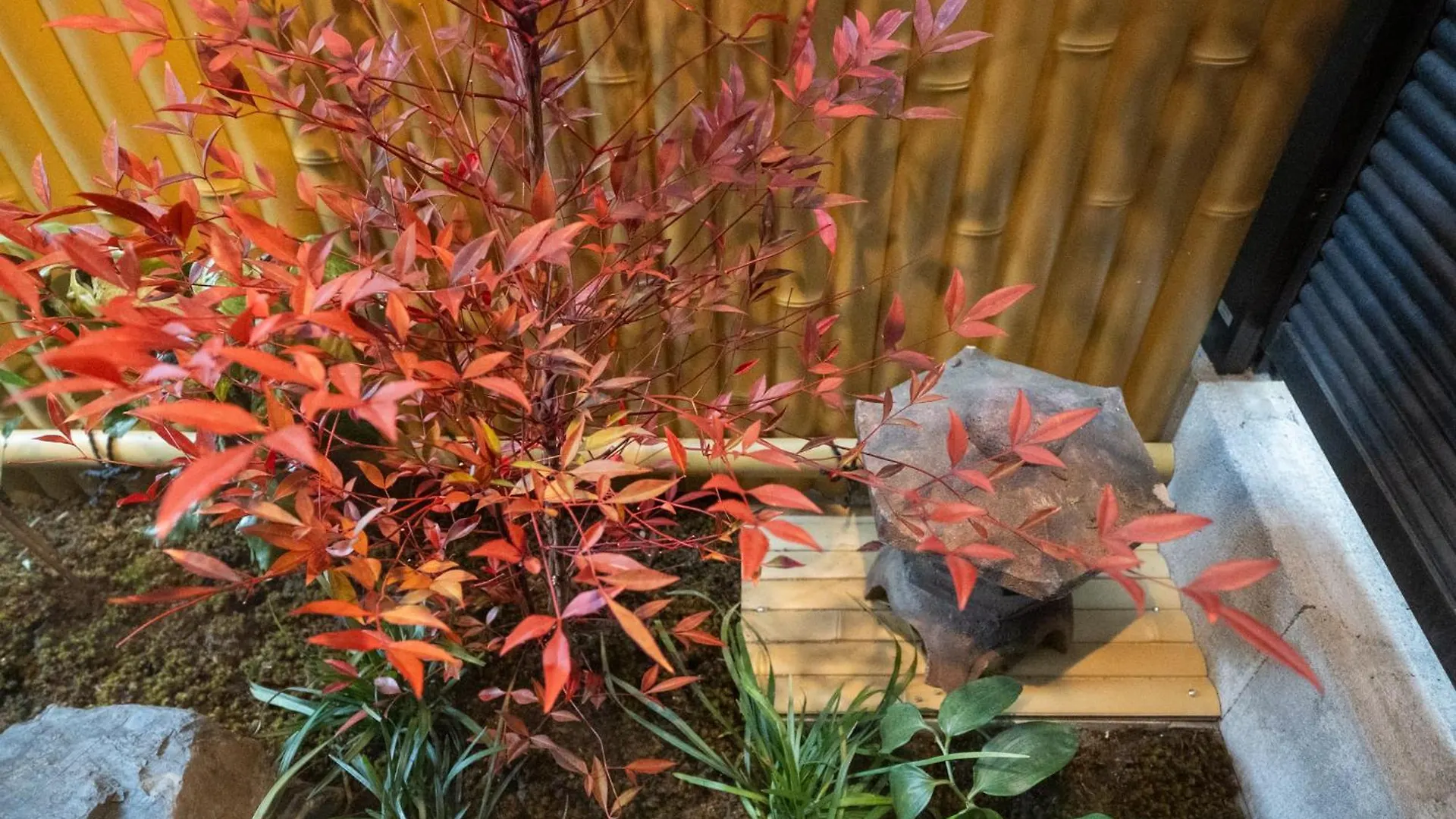 東雲庵/Shinonomean Villa Kyoto